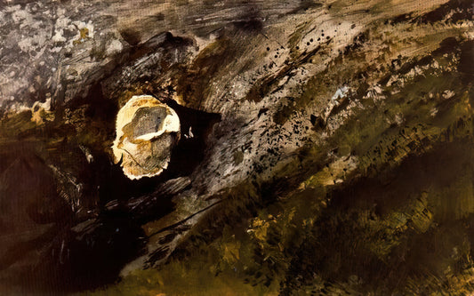 Andrew Wyeth Original Art for Sale: A Collector's Guide to Authenticity and Value - INLAND SHELL by Andrew Wyeth