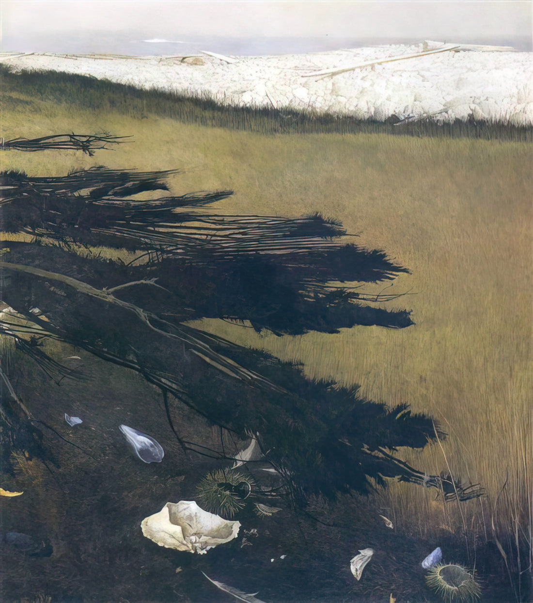 Andrew Wyeth Pictures: A Deep Dive into the Artist's Iconic Realism - NOT DETECTED 47 by Andrew Wyeth