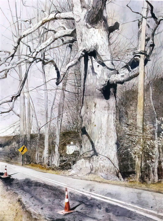 Andrew Wyeth Reproductions: Preserving the Poetic Realism of an American Master - WALKING STICK by Andrew Wyeth