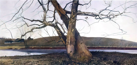 Andrew Wyeth Self Portrait: An Intimate Glimpse into the Artist's Inner World - DIL HUEY FARM by Andrew Wyeth