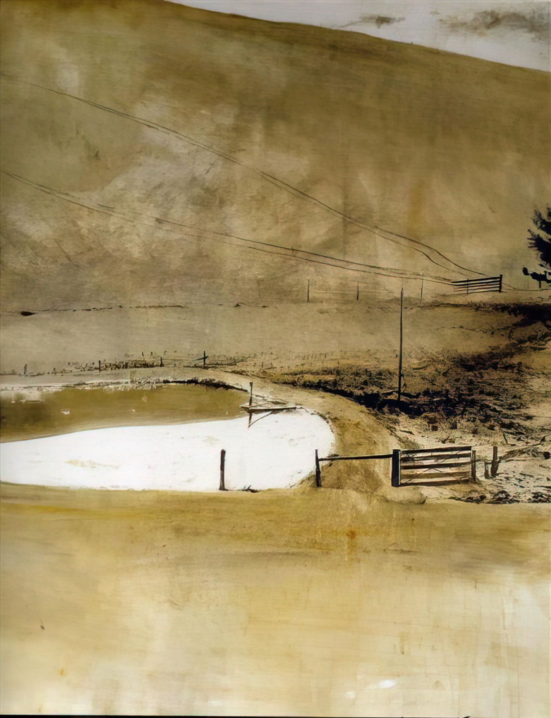 Andrew Wyeth's Christina: The Haunting Masterpiece That Defined American Realism - NOT DETECTED 34 by Andrew Wyeth