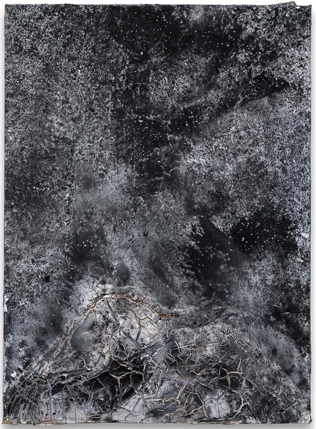 Anselm Kiefer Print: Collecting the Monumental Memory of Post-War Germany - THE SECRET LIFE OF PLANTS FOR ROBERT FLUDD 2014 by Anselm Kiefer