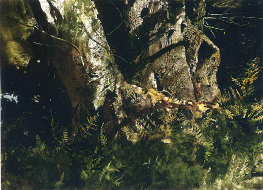 Christina Wyeth Painting: A Legacy of American Realism and Artistic Lineage - VIRGIN BIRCH 1982 by Andrew Wyeth