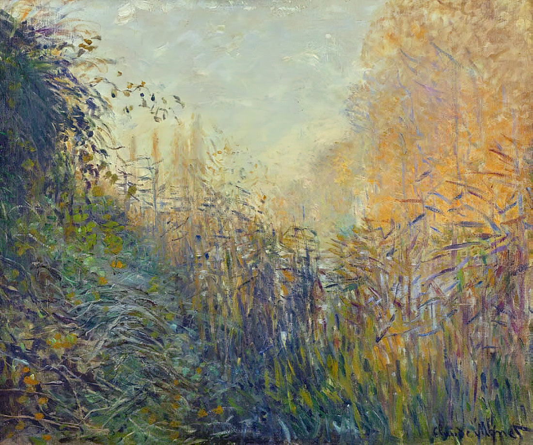 Claude Monet at the Musée d'Orsay: A Curator's Guide to His Masterpieces - Study Rushes at Argenteuil by claude monet