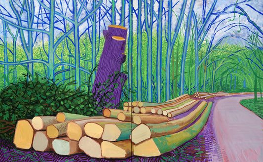 David Hockney Yellow Crocs: The Intersection of Comfort, Color, and Contemporary Art - David Hockney by David Hockney