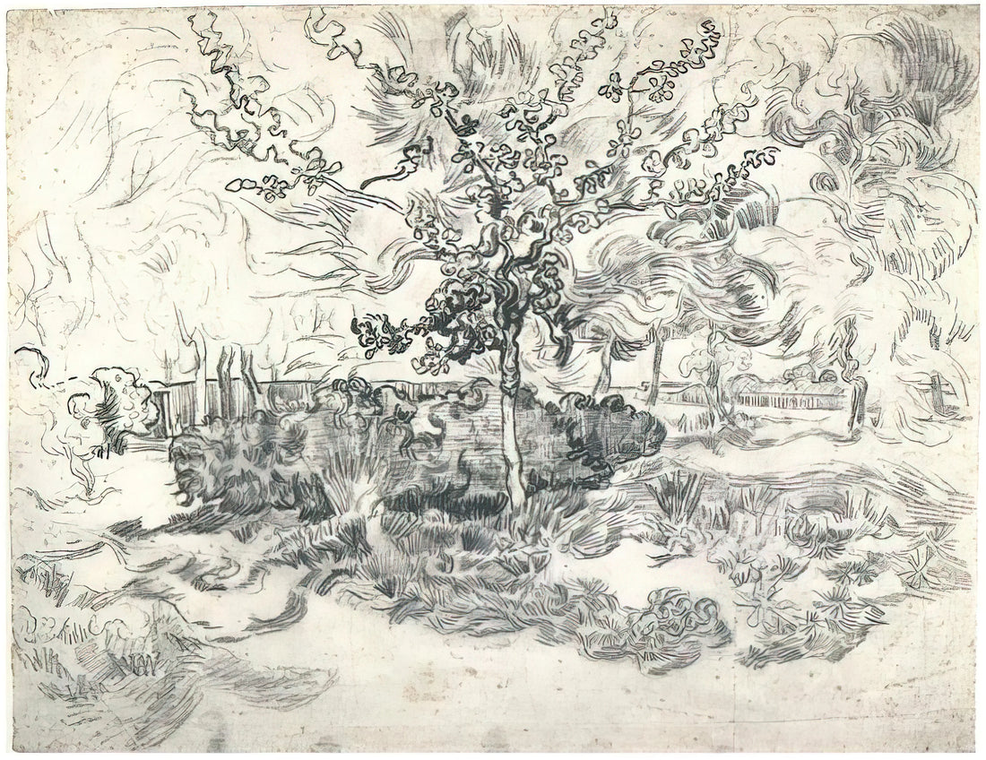 Dr. Gachet by Vincent van Gogh: The Portrait That Captures a Complex Friendship - Garden of the Asylum by Vincent van Gogh