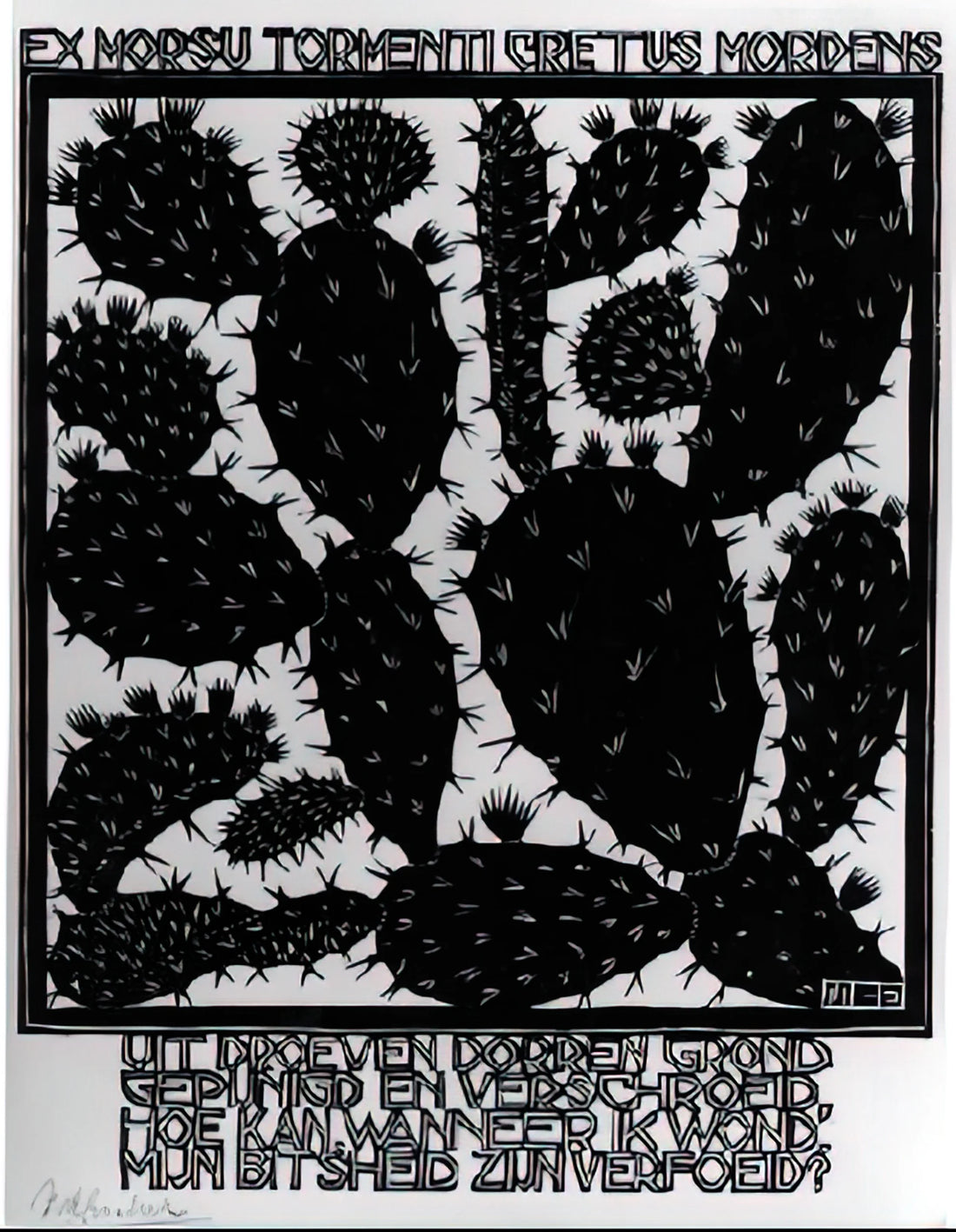 Escher Fotos: Exploring the Visual Puzzles and Mathematical Art of MC Escher - EMBLEMATA CACTUS by MC Escher