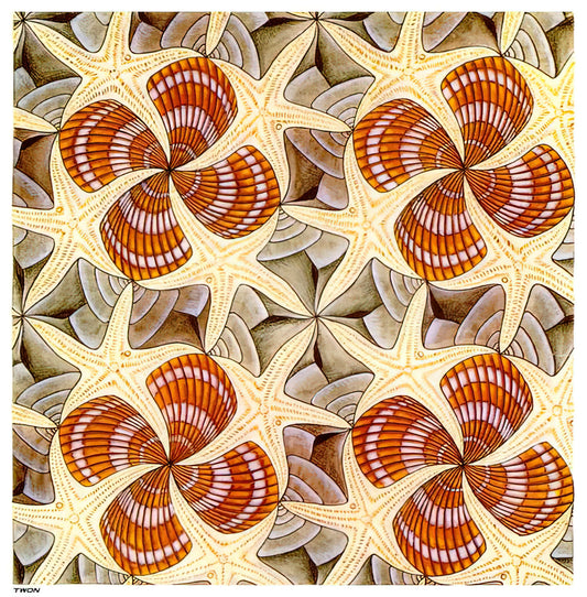 Escher Lithographs for Sale: A Collector's Guide to Acquiring Museum-Quality Prints - SHELLS AND STARFISH by MC Escher