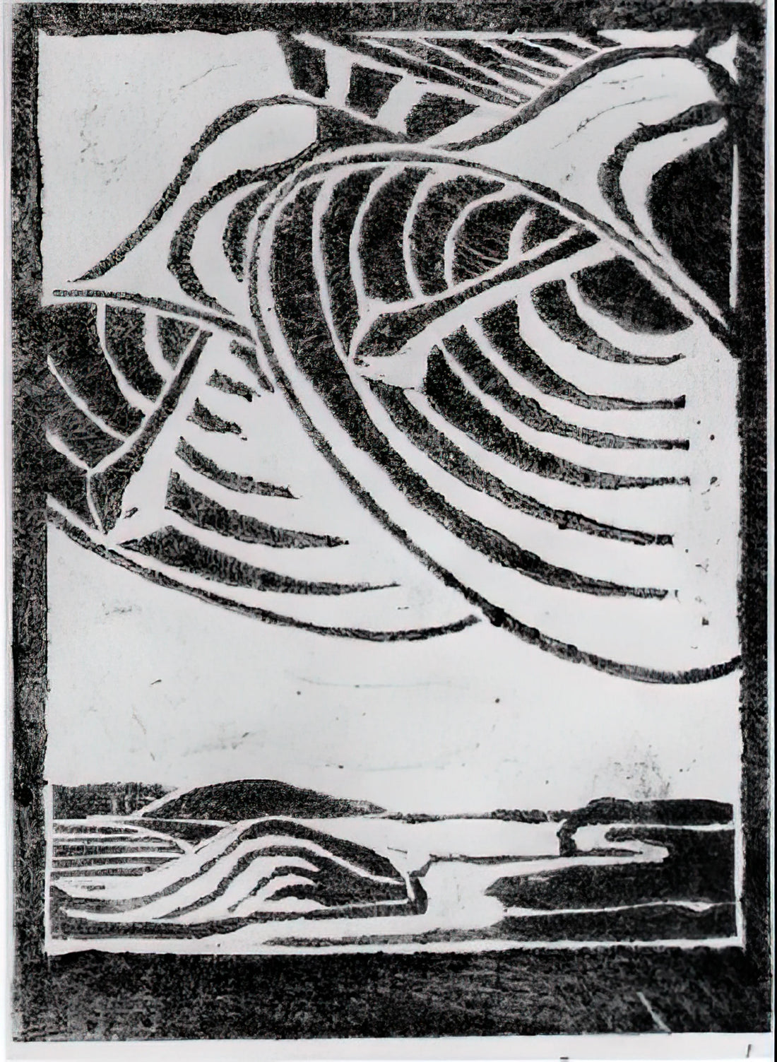 Escher NGV: Exploring the Mind-Bending World of Maurits Cornelis Escher - ESCHER (3) by MC Escher