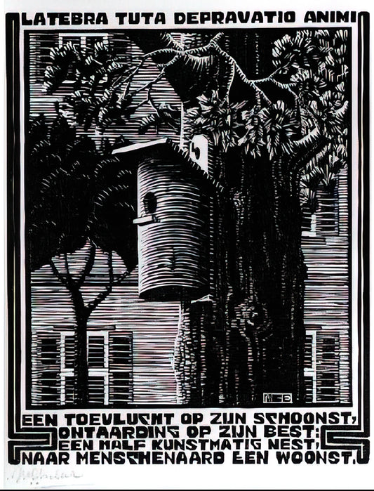 Escher's Journey to Infinity: The Mathematical Mind Behind Impossible Worlds - EMBLEMATA RETREAT by MC Escher