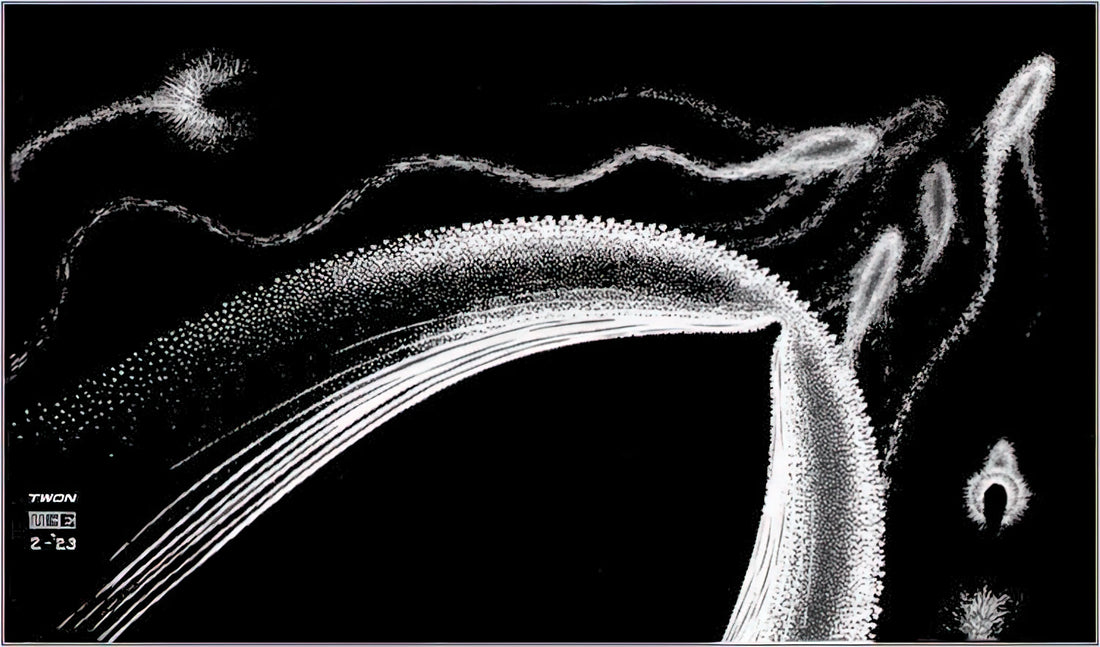 Exploring the Intersections of Art and Strategy: M.C. Escher, Logic, and the Concept of Escher Chess - DOLPHINS by MC Escher