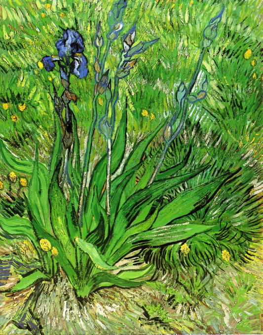 Finding Quality Cheap Van Gogh Prints: A Collector's Guide to Affordable Masterpieces - The Iris by Vincent van Gogh