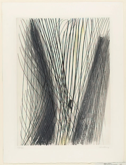 Hans Hartung Lithograph: A Journey into Abstract Expressionism and Printmaking Mastery - #18 - 1953 by Hans Hartung