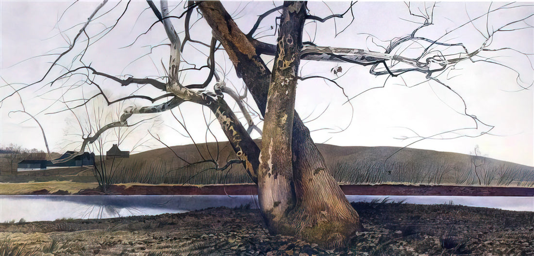 Helga Pictures Wyeth: The Secret Masterpiece Series That Redefined American Realism - DIL HUEY FARM by Andrew Wyeth