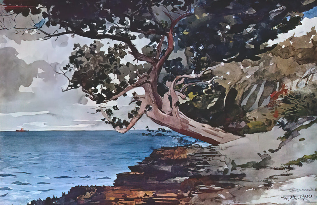 Homer Winslow Prints: Capturing the American Spirit in Fine Art Reproductions - NORTH ROAD BERMUDA by Winslow Homer