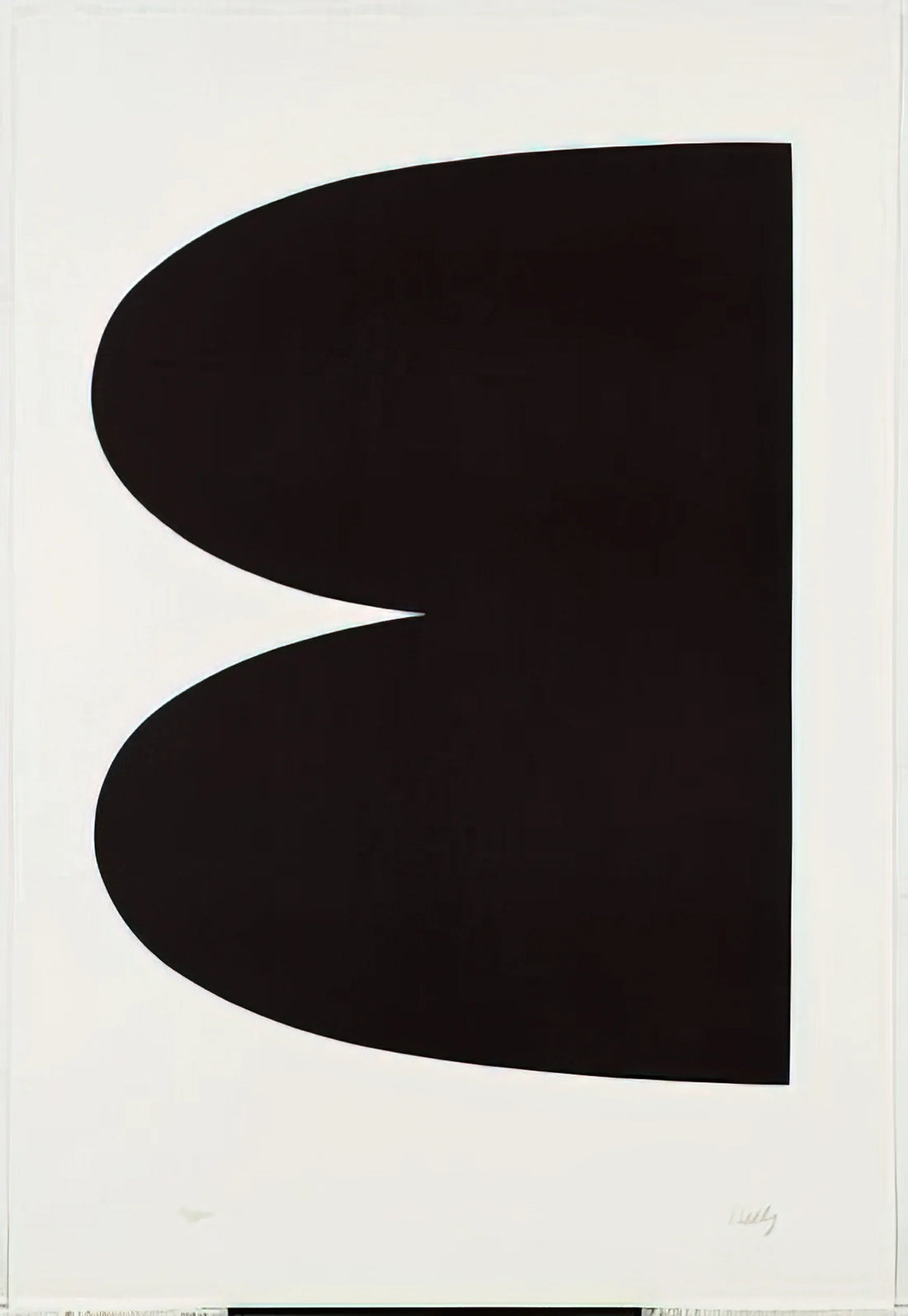 Jack Shear: The Curator, Collector, and Photographer Shaping Contemporary Art - Black from Suite of Twenty-Seven Color Lithographs by Ellsworth Kelly