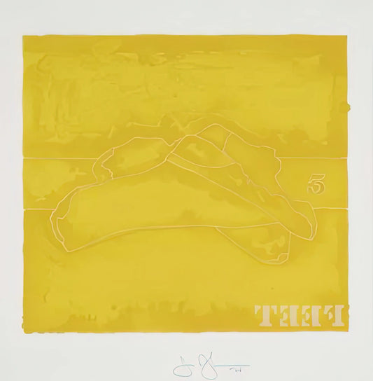 Jasper Johns Artwork: Decoding the Master of Flags, Targets, and Everyday Objects - FEET 1974 by Jasper Johns