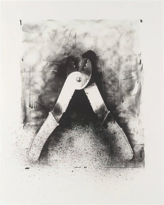 Jim Dine Prints: A Collector's Guide to the Artist's Iconic Imagery and Legacy - UNTITLED FROM TEN WINTER TOOLS 1973 7 by Jim Dine