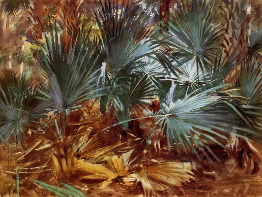 John Singer Sargent Famous Paintings: A Curator's Guide to His Masterpieces - Palmettos by John Singer Sargent
