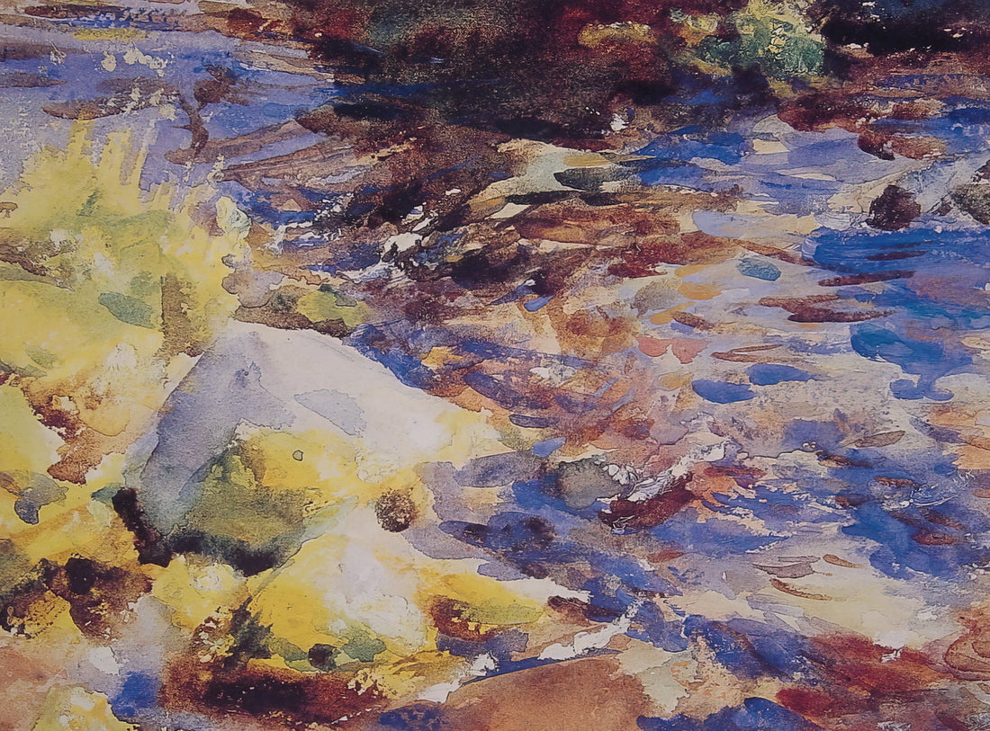 John Singer Sargent at Biltmore: The Artist's American Masterpiece and Gilded Age Legacy - Reflections Rocks and Water by John Singer Sargent