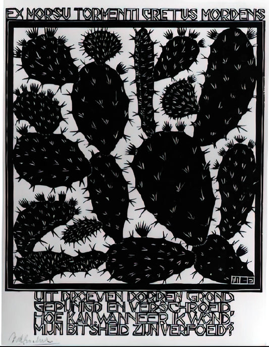 M.C. Escher Images: A Journey into the Mind of a Master of Illusion - EMBLEMATA CACTUS by MC Escher