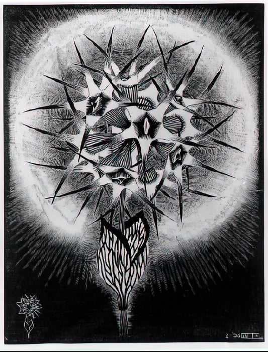 M.C. Escher Stairs Print: A Guide to the Artist's Impossible Architecture - PRICKLY FLOWER by MC Escher