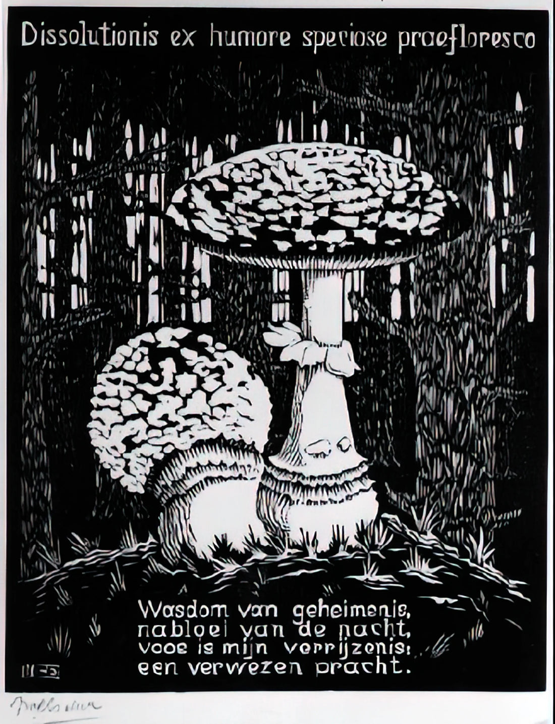 M.C. Escher: The Master of Mathematical Art and Optical Illusions - EMBLEMATA TOADSTOOL by MC Escher