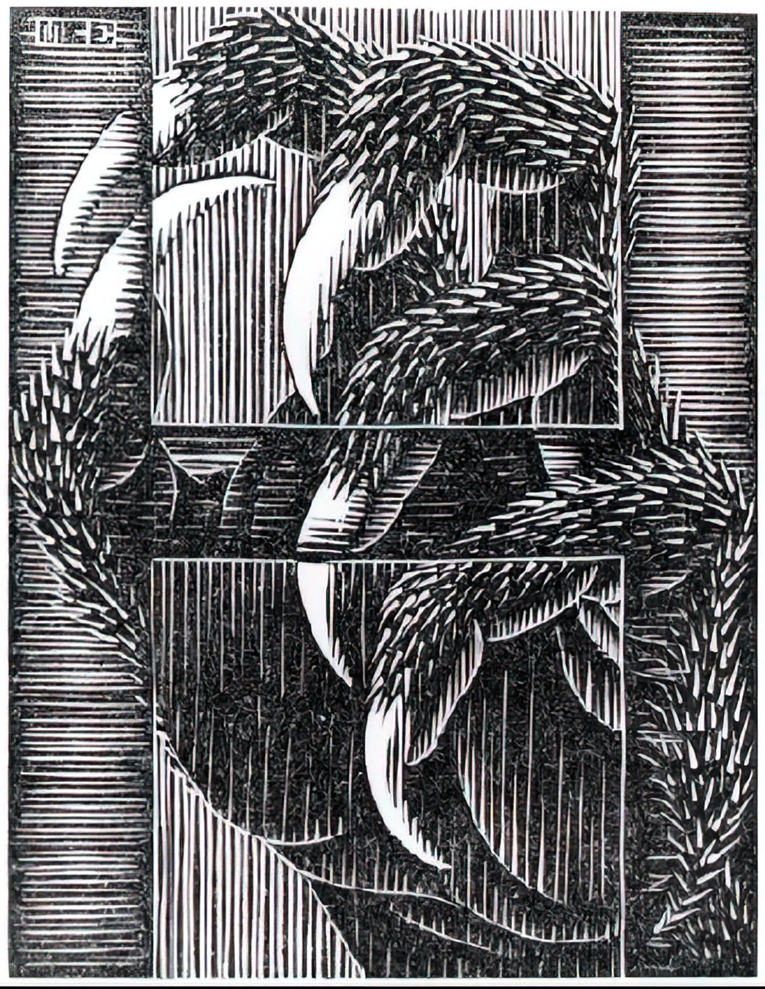 MC Escher Chess: The Mind-Bending Geometry of Impossible Games - ESCHER (13) by MC Escher