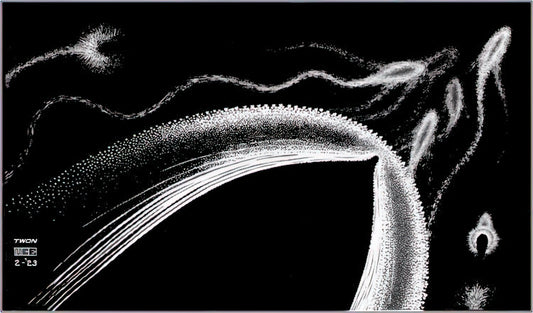 MC Escher and the Alhambra: How Islamic Geometry Transformed Modern Art - DOLPHINS by MC Escher