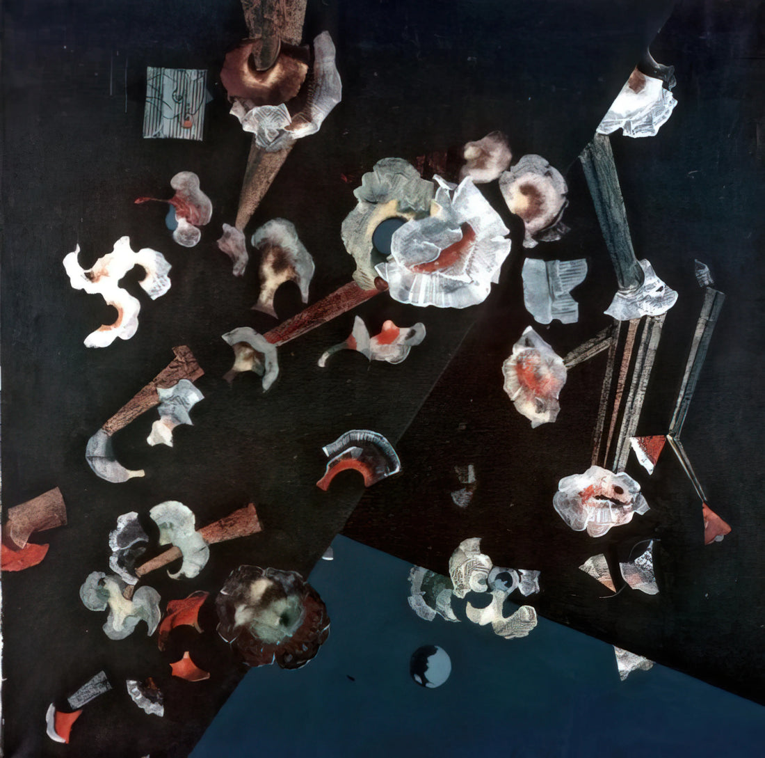 Max Ernst Taschen: A Collector's Guide to the Surrealist Master's Iconic Publications - Flowers of seashells by Max Ernst