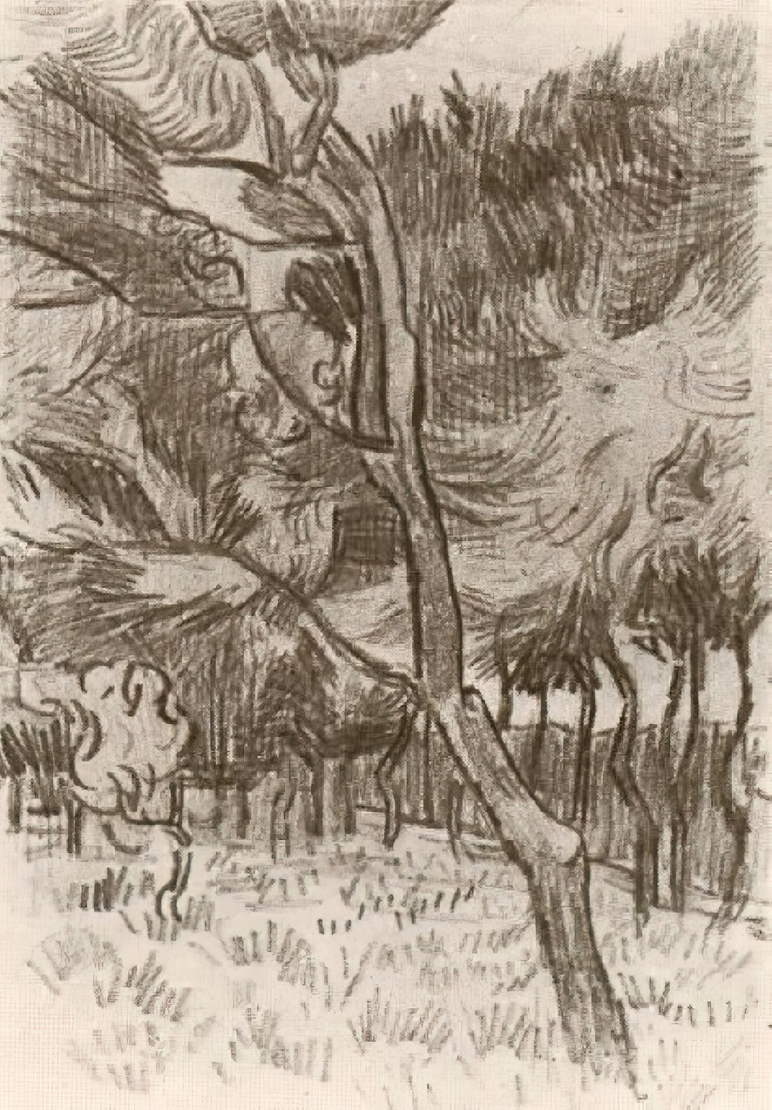 Millet First Steps: A Masterpiece of Rural Realism and Tender Humanity - Pine Trees in the Garden of the Asylum by Vincent van Gogh