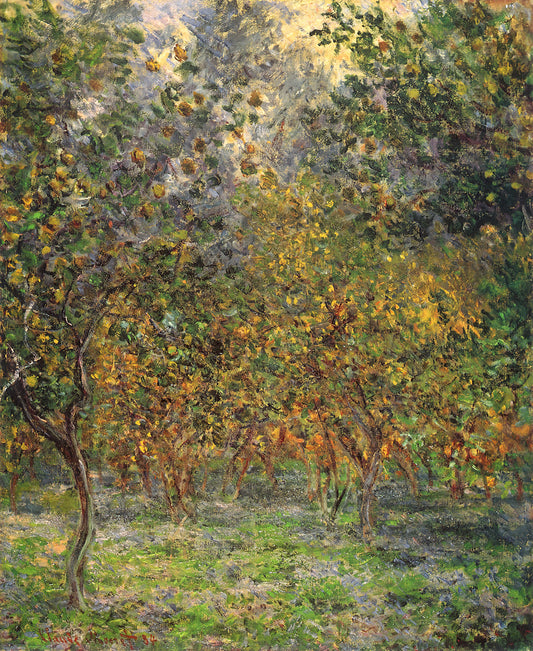 Monet's Water Lilies at the Musée d'Orsay: A Journey into Impressionist Mastery - Under the Lemon Trees by claude monet