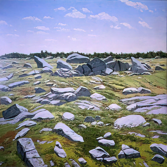 Neil Welliver for Sale: A Collector's Guide to Acquiring His Monumental Landscape Prints - Midday Barren - 1983 by Neil Welliver