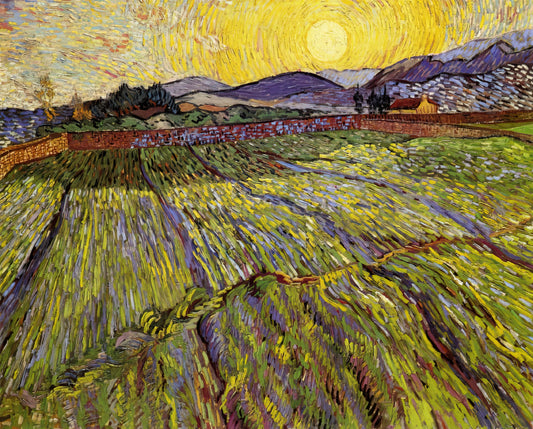 Noche Estrellada Van Gogh MOMA: An Expert Analysis of the Iconic Masterpiece - Enclosed field with rising sun by Vincent van Gogh