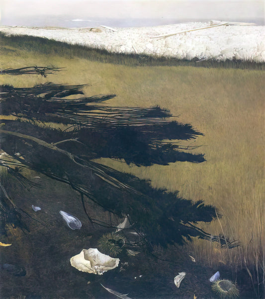 Pictures of Andrew Wyeth Paintings: A Curator's Guide to His Iconic Works - NOT DETECTED 47 by Andrew Wyeth