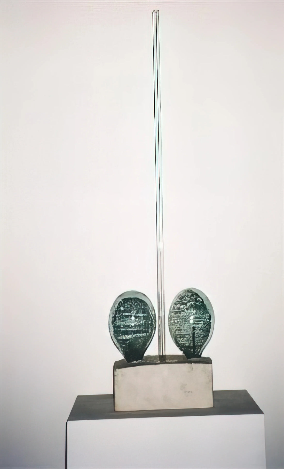 Robert Rauschenberg Retroactive II: Decoding the Masterpiece of Pop Art and Political Commentary - THE MAN WITH TWO SOULS 1950 by Robert Rauschenberg
