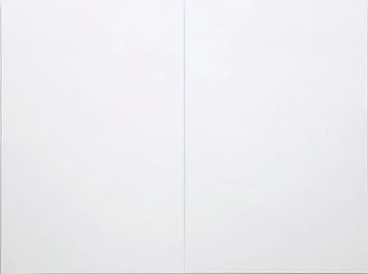 Robert Rauschenberg: The Revolutionary Artist Who Combined Everything - WHITE PAINTING TWO PANEL 1951 by Robert Rauschenberg