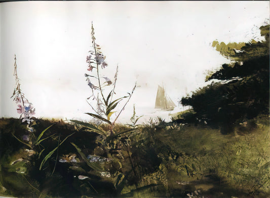 Signed Wyeth Prints: A Collector's Guide to Authenticity, Value & Legacy - UNDER SAIL by Andrew Wyeth