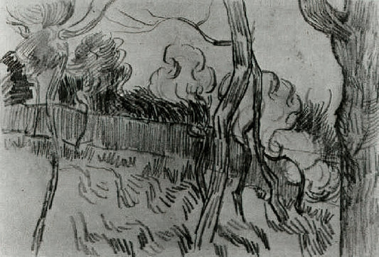 Starry Night Canvas Reproduction: An Expert Guide to Van Gogh's Masterpiece - Pine Trees Seen against the Wall of the Asylum by Vincent van Gogh