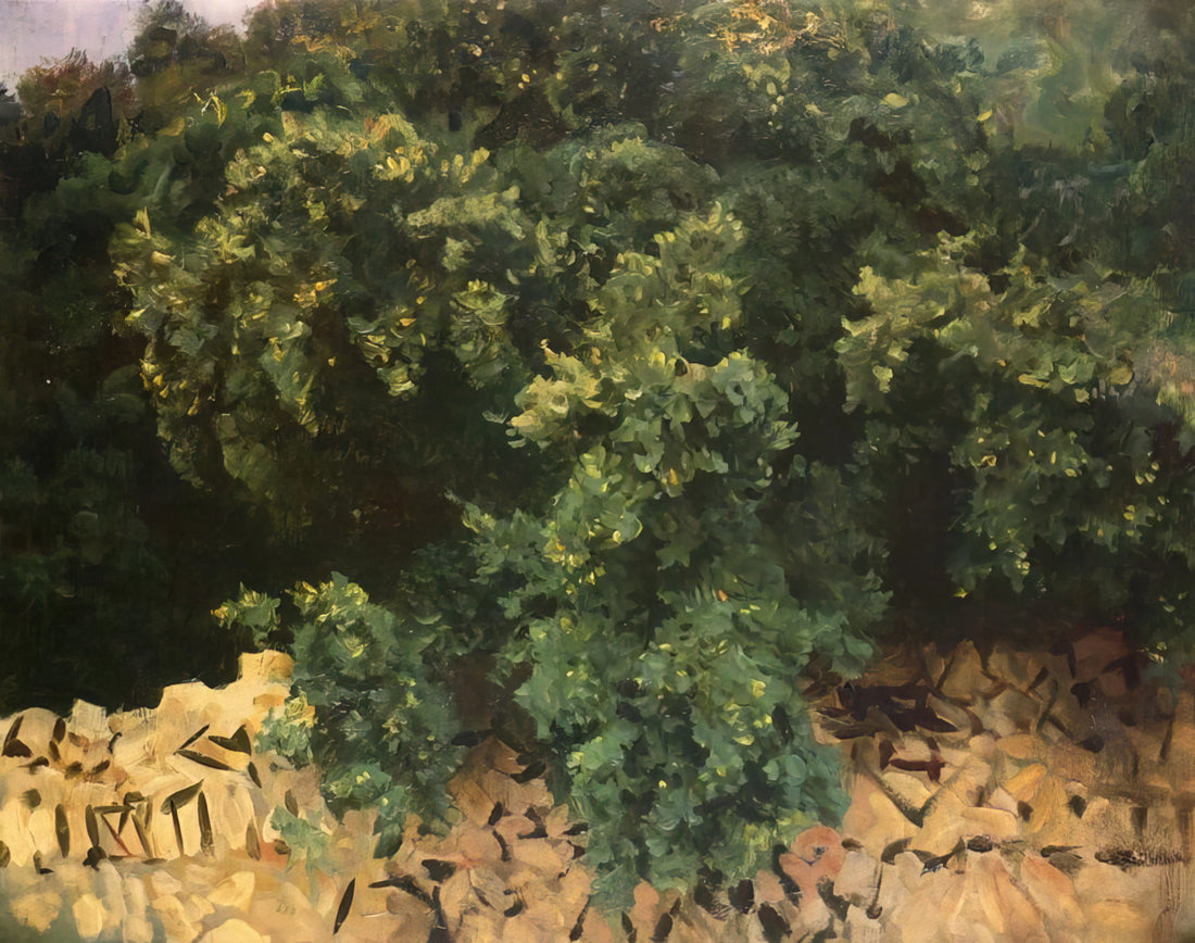 Strapless John Singer Sargent: The Artist's Mastery of Form and Fabric - Ilex Wood, Majorca by John Singer Sargent