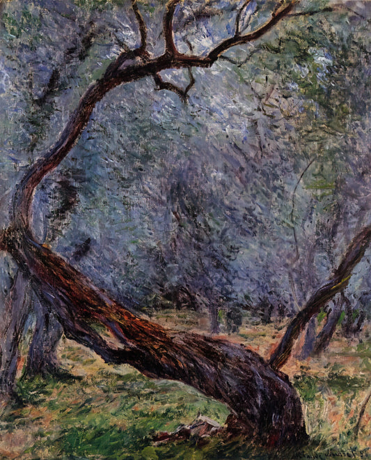 The Enduring Allure of the Givenchy Garden: A Study in Elegance and Artistry - Olive Trees Study by claude monet