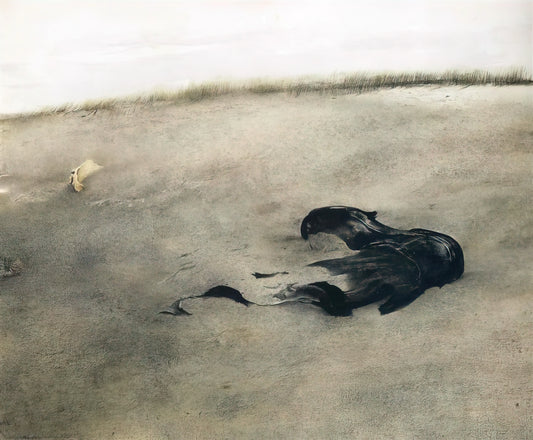 The Enigmatic World of Helga Pictures: Andrew Wyeth's Enduring Legacy - NOT DETECTED 37 by Andrew Wyeth