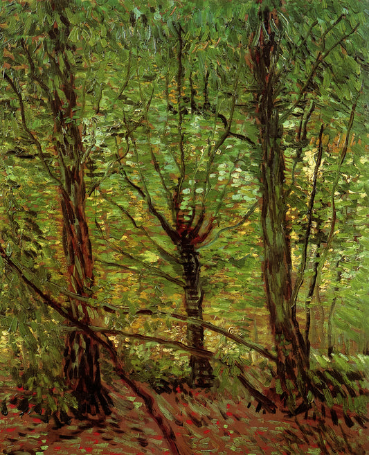 The Hundred Guilder Print: Rembrandt's Masterpiece of Etching and Its Enduring Legacy - Trees and Undergrowth by Vincent van Gogh