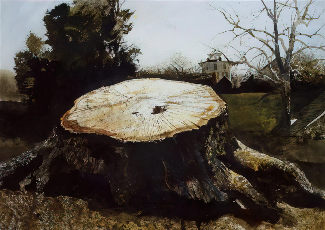 Unveiling the 'Wyeth World': A Journey into American Realism and Introspection - THE BIG OAK by Andrew Wyeth