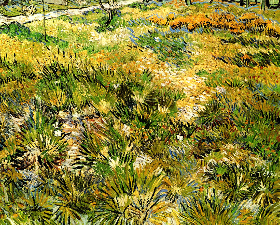 Van Gogh Art Posters: A Curator's Guide to Collecting Museum-Quality Prints - Meadow in the Garden of Saint-Paul Hospital by Vincent van Gogh