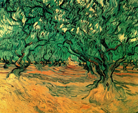 Van Gogh Museum Poster: A Curator's Guide to Authentic Art Prints - Olive Trees by Vincent van Gogh