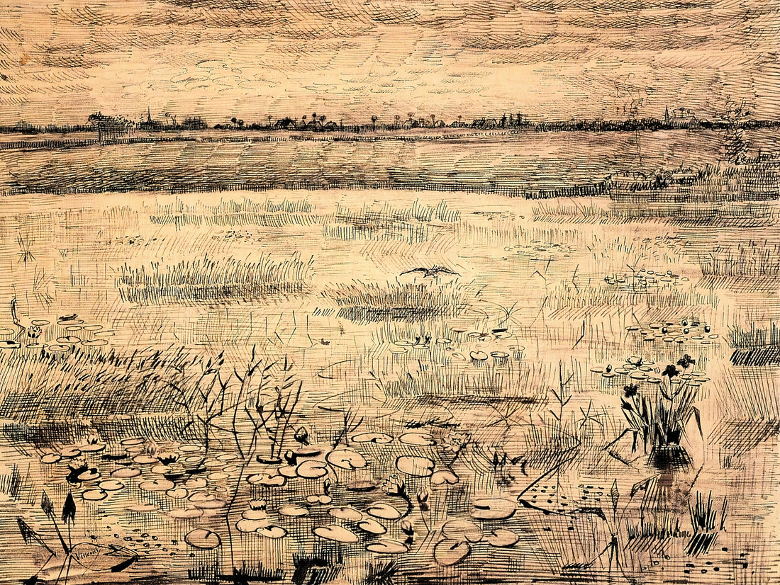 Van Gogh Posters for Sale: A Curator's Guide to Authentic Art Prints - Marsh with Water Lillies by Vincent van Gogh