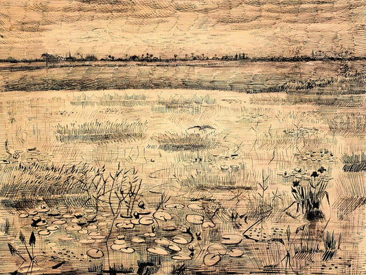 Van Gogh Posters for Sale: A Curator's Guide to Authentic Art Prints - Marsh with Water Lillies by Vincent van Gogh