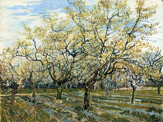 Van Gogh's Sunflowers: Unveiling the Iconic 'Sunflower Van' Masterpieces - Orchard with Blossoming Plum Trees by Vincent van Gogh