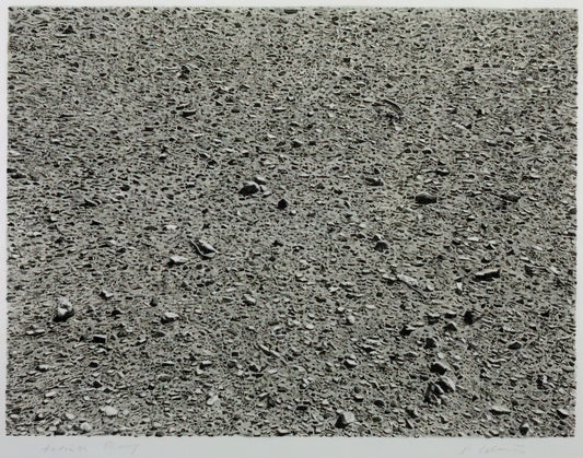 Vija Celmins Art for Sale: A Collector's Guide to Her Hyperrealist Masterpieces - DESERT 1975 by Vija Celmins